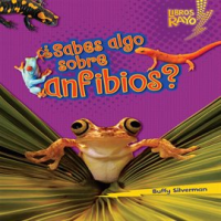 __Sabes_Algo_Sobre_Anfibios___Do_You_Know_About_Amphibians__